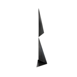 Folding Figure