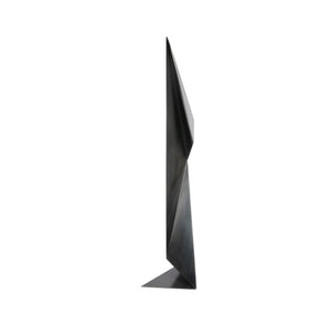 Folding Figure